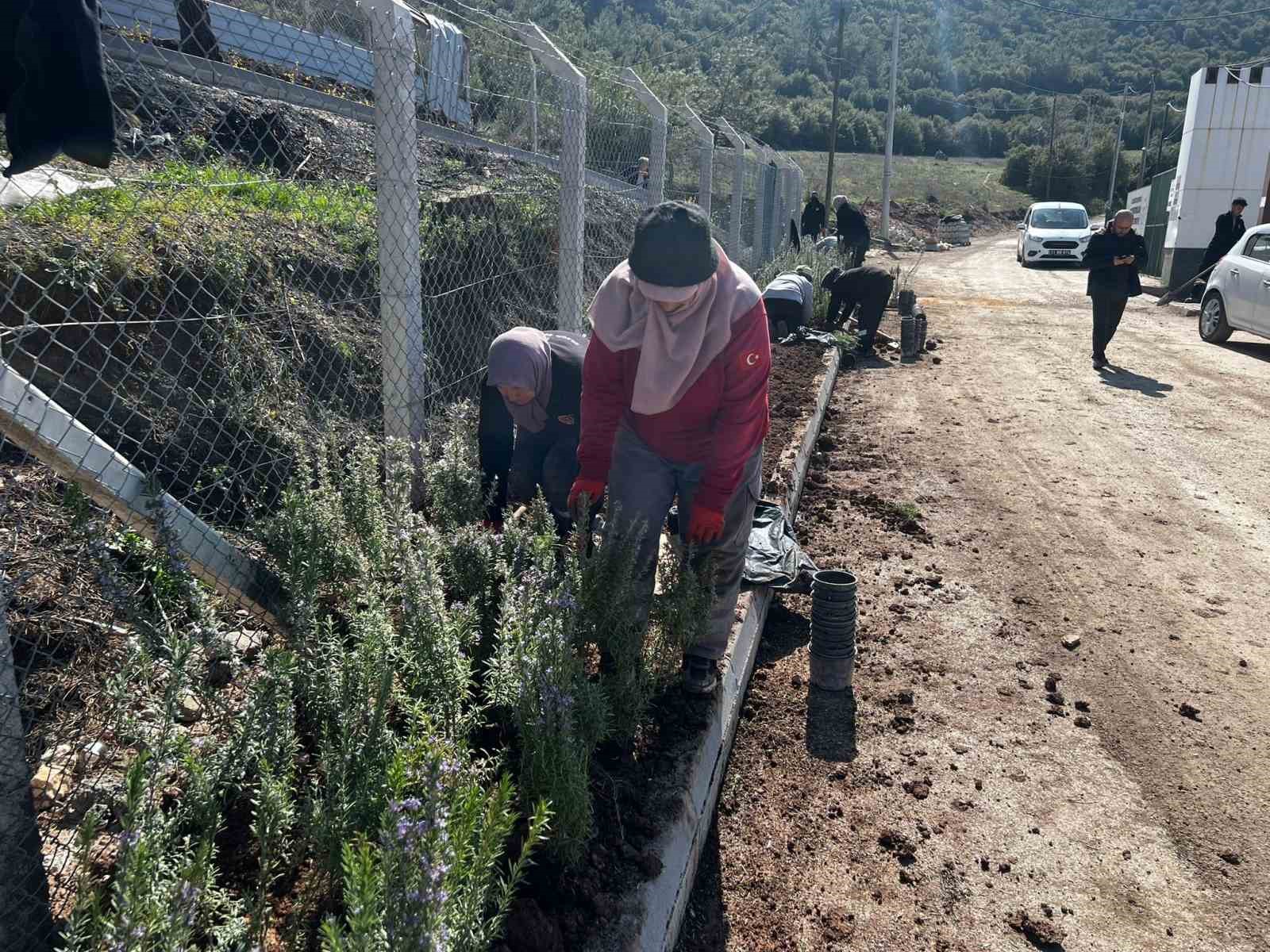 Bilecik&rsquo;te bahar hazırlıkları başladı
