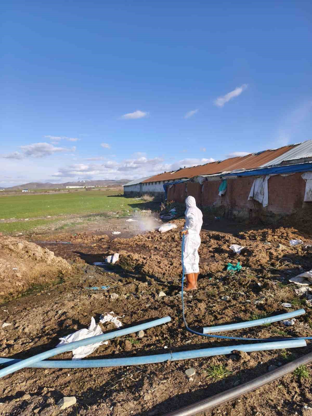 Elazığ’da larva ilaçlama çalışmaları başladı