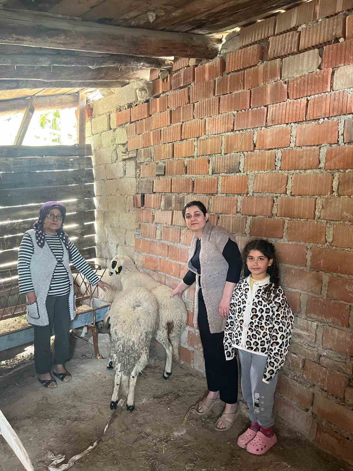 Hayvancılık desteği &uuml;reticileri sevindirdi
