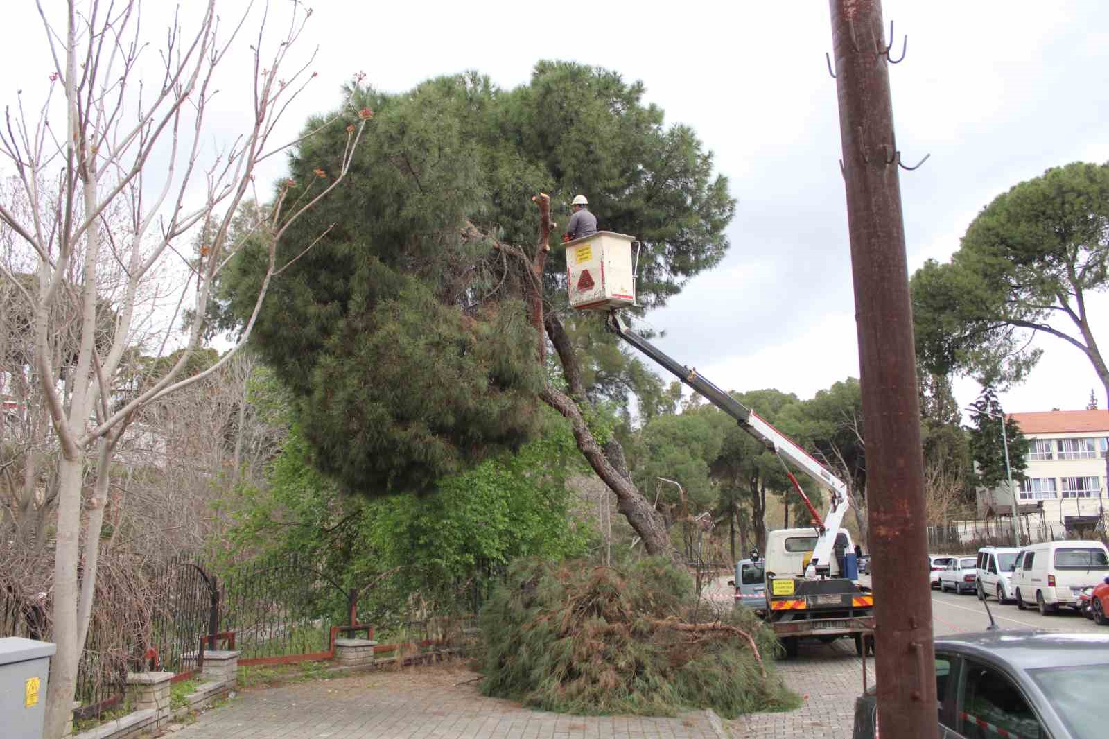 Efeler&rsquo;de yağışlara dayanamayan 2 ağa&ccedil; yan yattı
