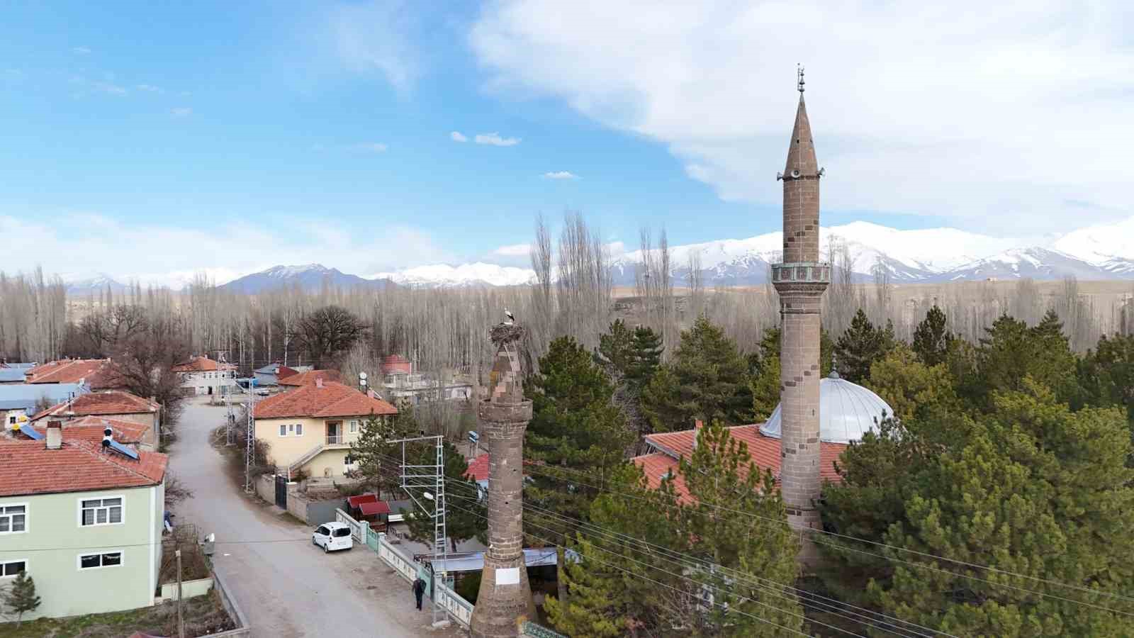 Şıhbarak mahallesinde baharın m&uuml;jdecisi leylekler yuvalarına d&ouml;nd&uuml;
