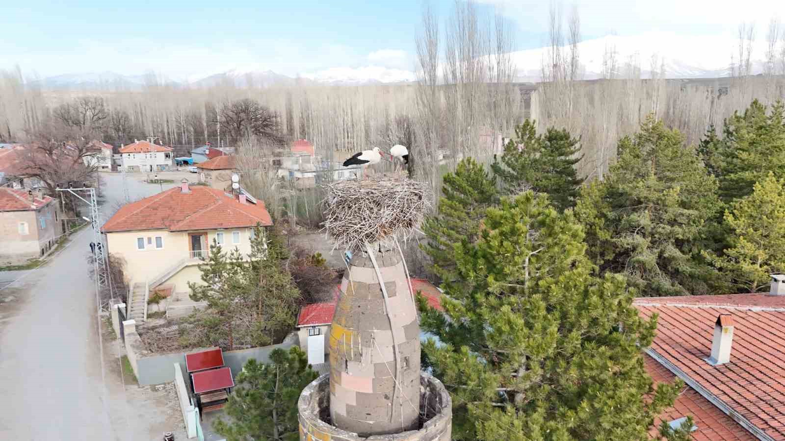 Şıhbarak mahallesinde baharın müjdecisi leylekler yuvalarına döndü