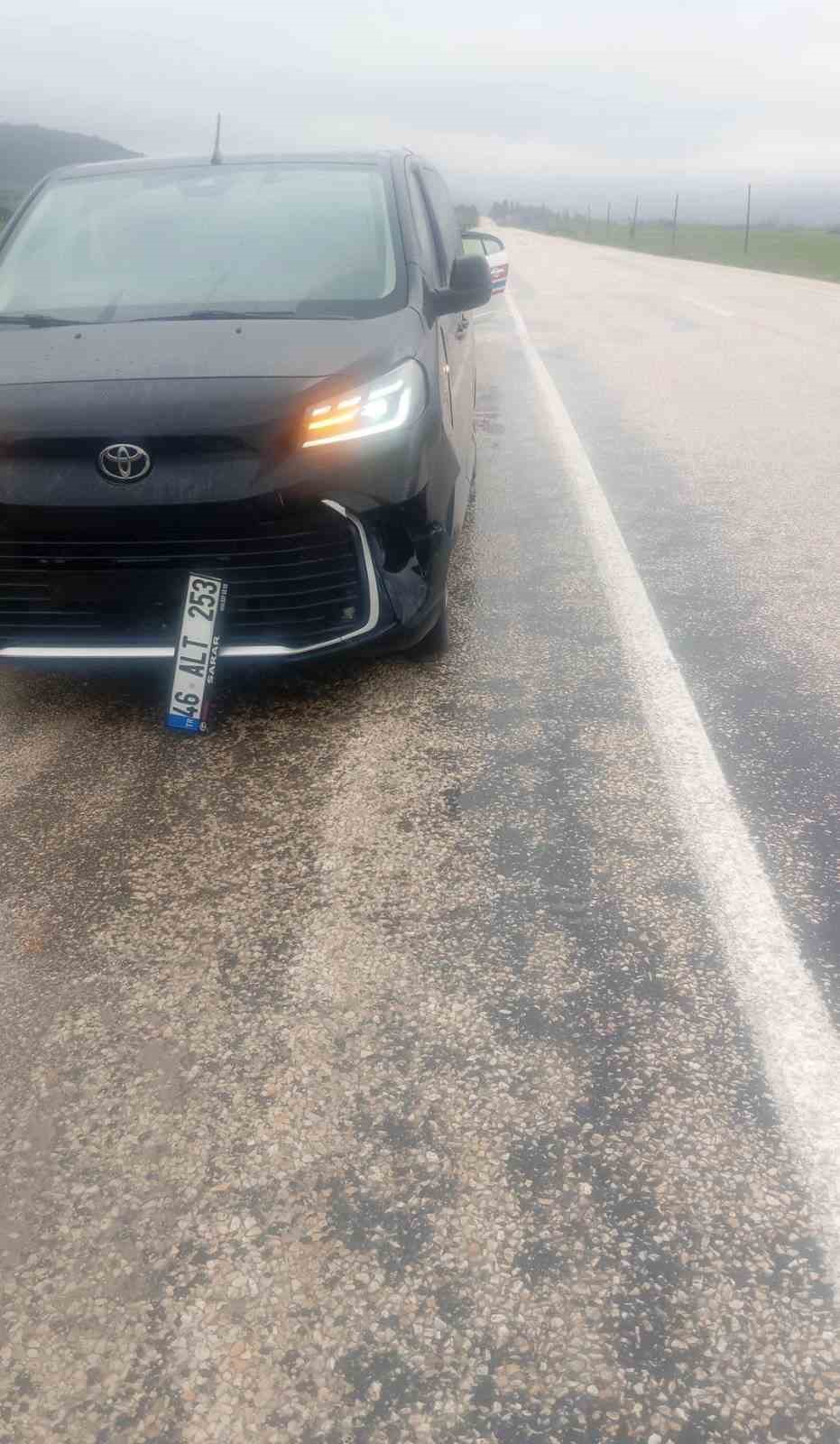 Köpeğe çarpan araç kaza yaptı: maddi hasar oluştu