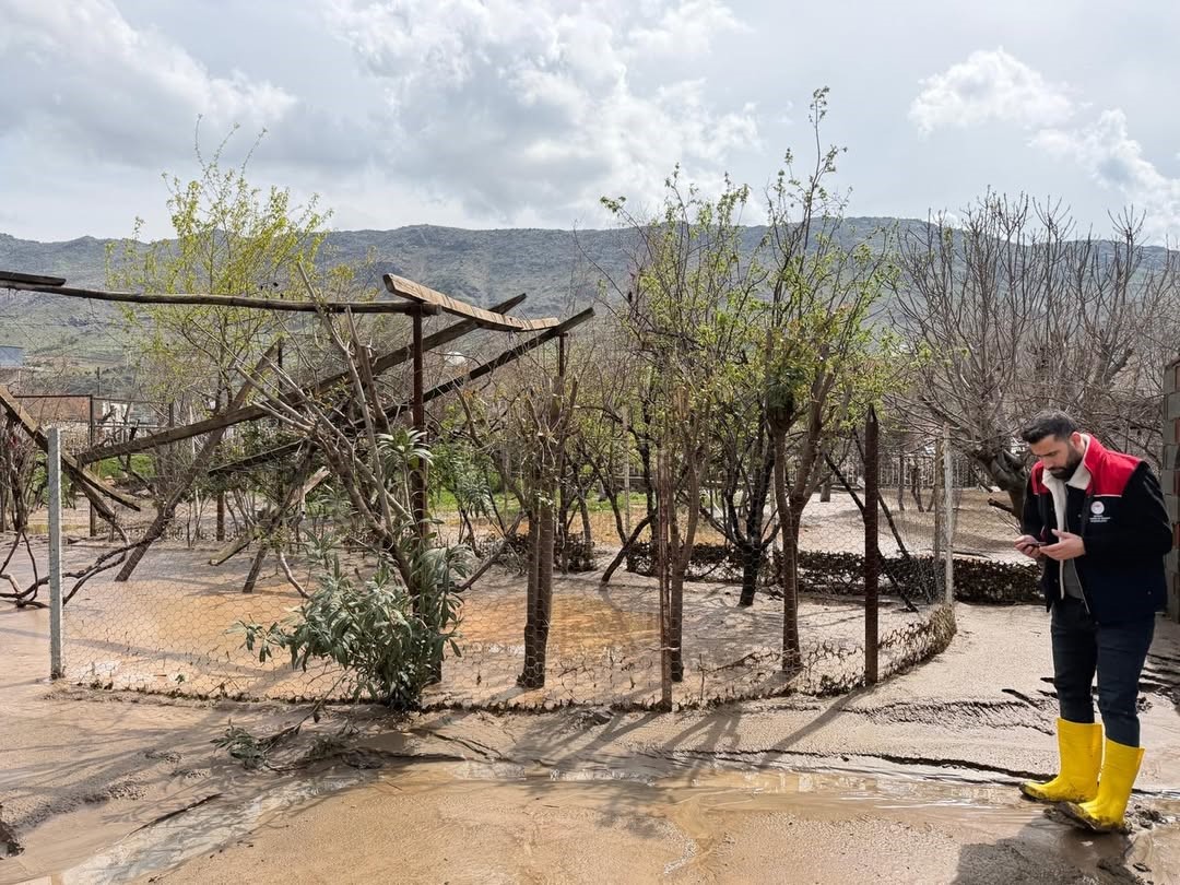 Selin vurduğu Ko&ccedil;beyi k&ouml;y&uuml;nde yaralar sarılıyor
