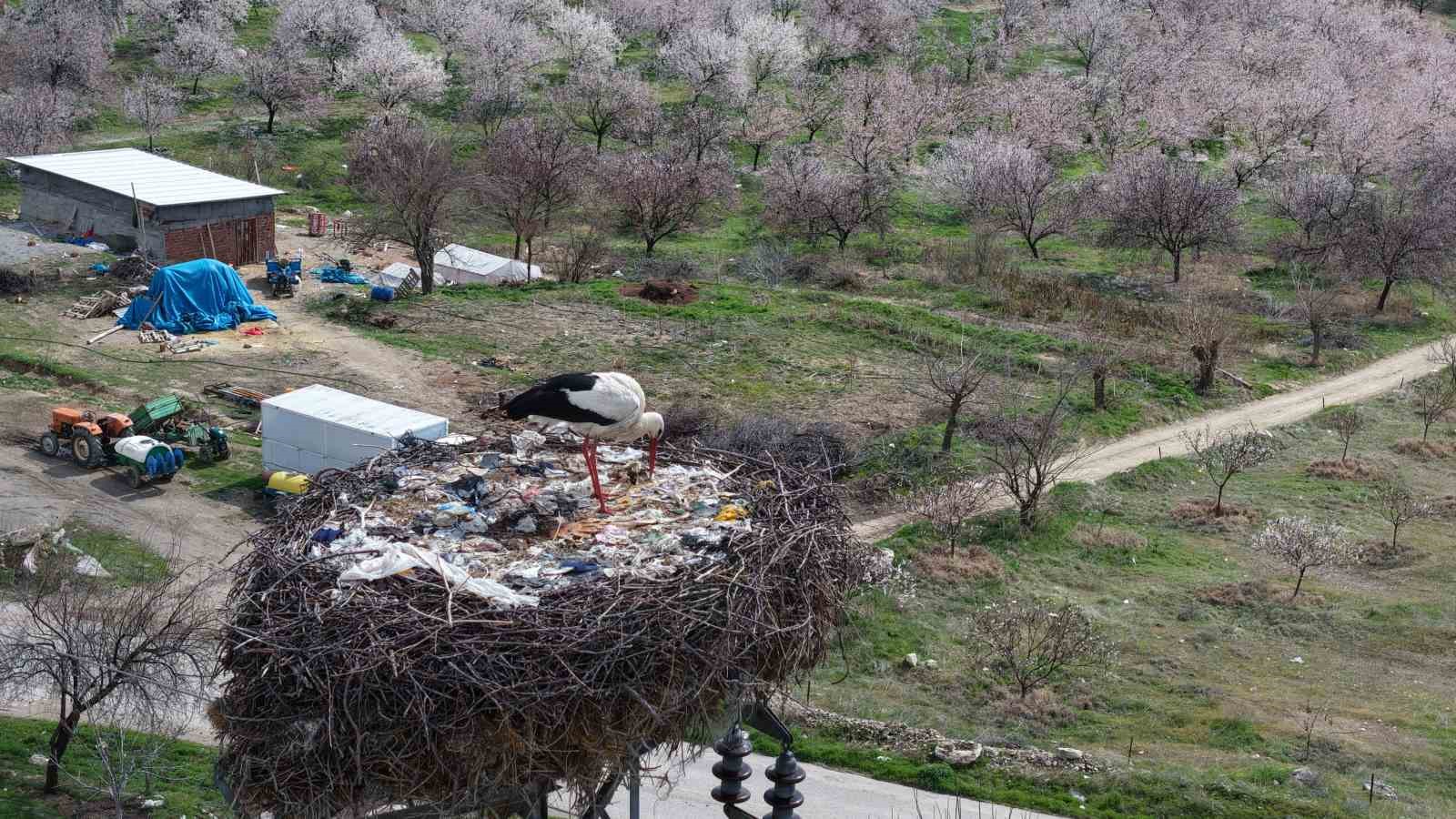 Sadık misafir leylek 10 yıldır yolunu şaşırmıyor