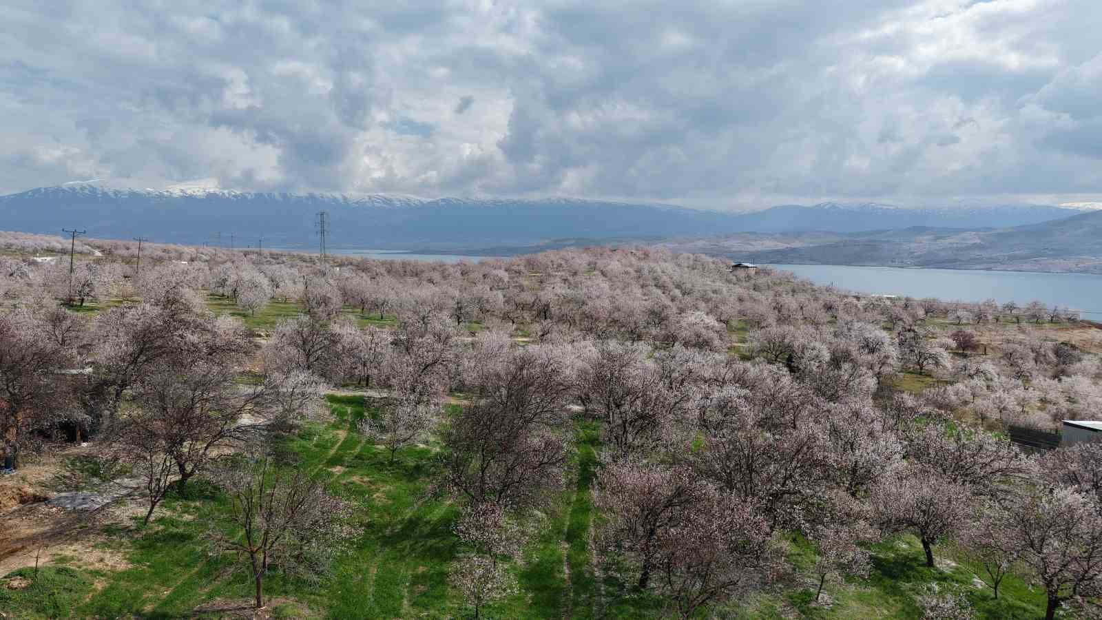 Sadık misafir leylek 10 yıldır yolunu şaşırmıyor
