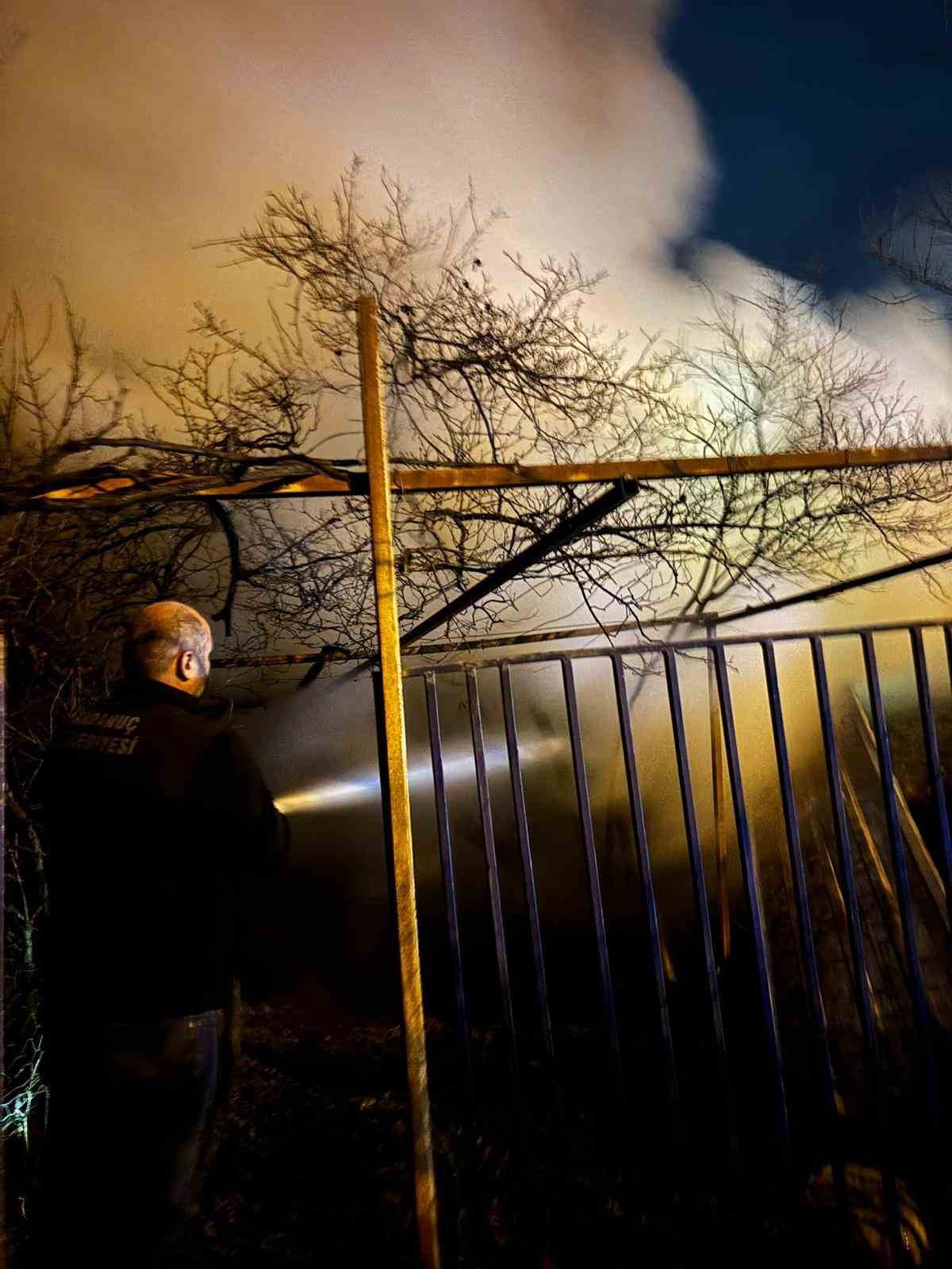 Artvin&rsquo;de gece yarısı yangın: 1 ev ve odunluk kullanılamaz hale geldi
