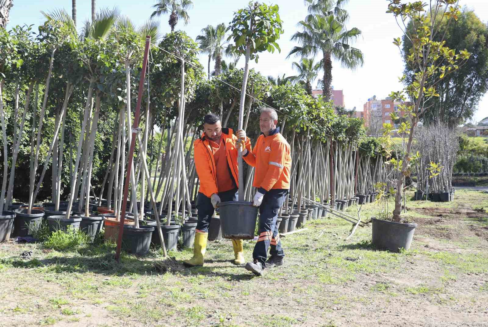 Mersin&rsquo;de ağa&ccedil;landırma seferberliği başladı
