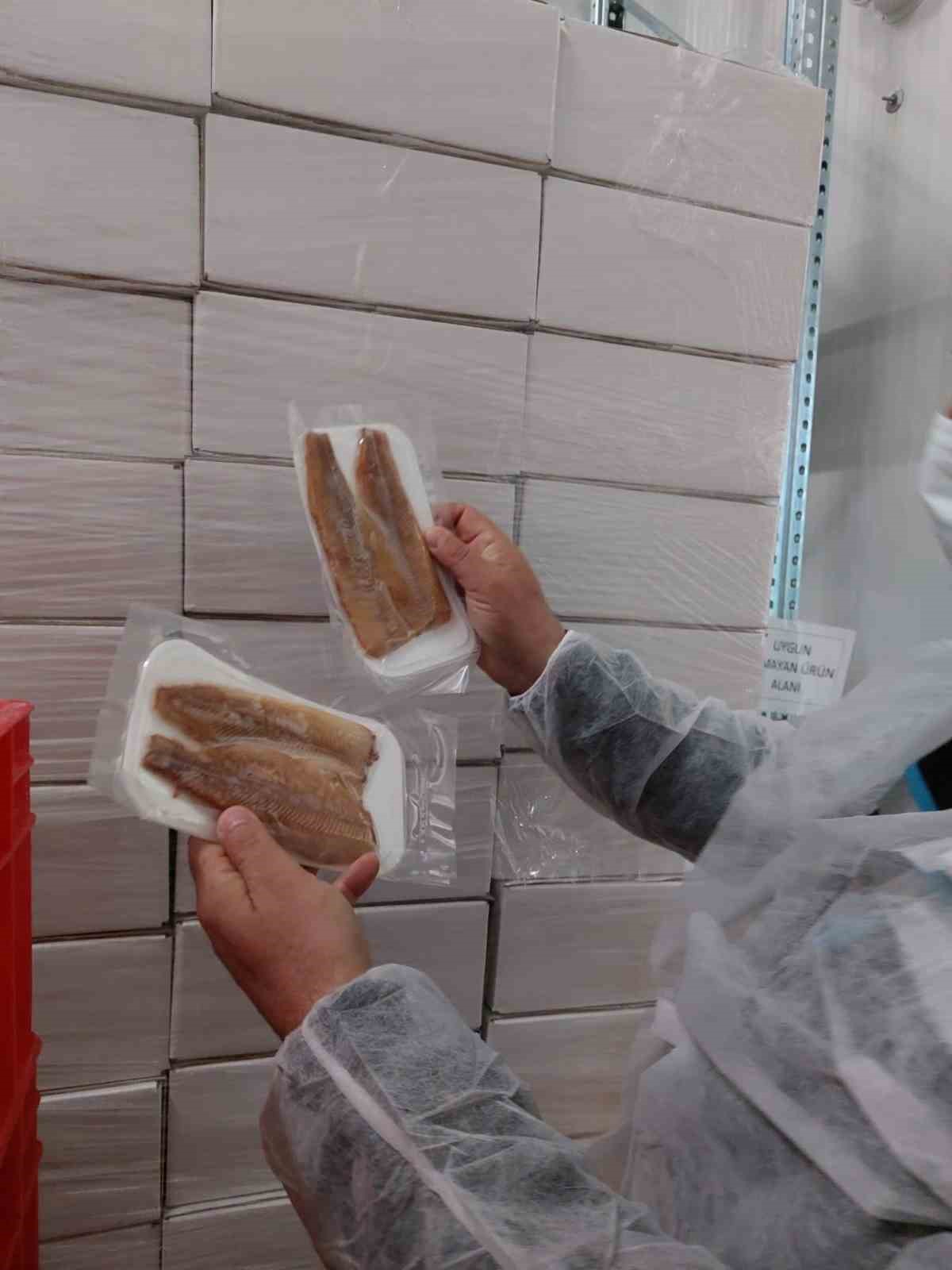 Su ürünleri üretimi yapılan tesislerde denetim