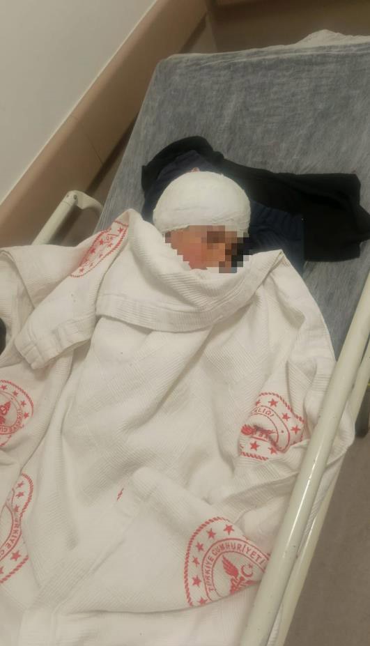 Saldırgan k&ouml;peğin resm&icirc; olmayan sahibi ortaya &ccedil;ıktı
