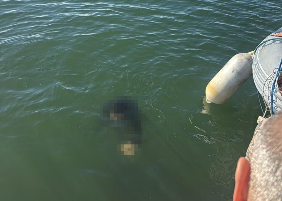 Akülü tekerlekli sandalyesiyle denize düşen kişi kurtarılamadı