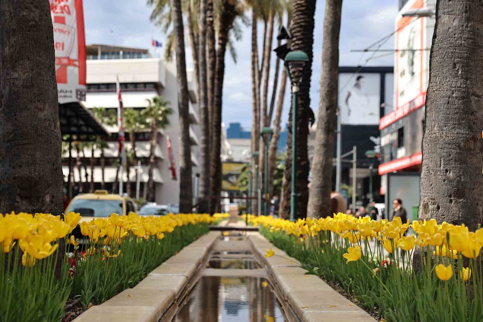 Baharın m&uuml;jdecisi laleler Antalya sokaklarını renklendirdi
