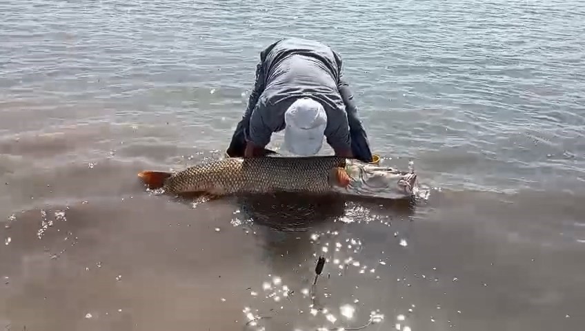 Elazığ’da amatör balıkçılar 65 kilo ağırlığında turna balığı yakaladı