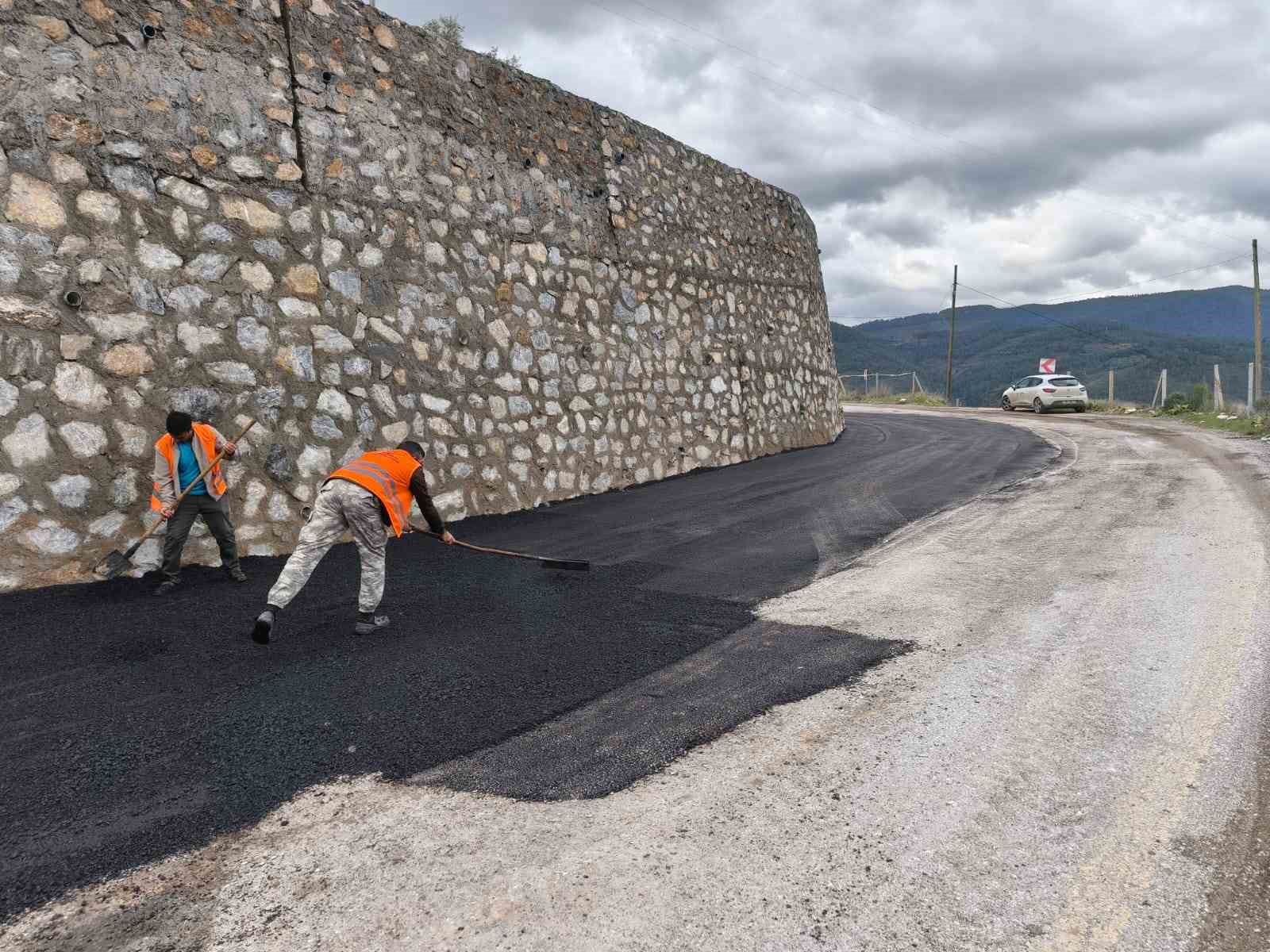 B&uuml;y&uuml;kşehir&rsquo;den eş zamanlı &rsquo;ulaşım&rsquo; mesaisi
