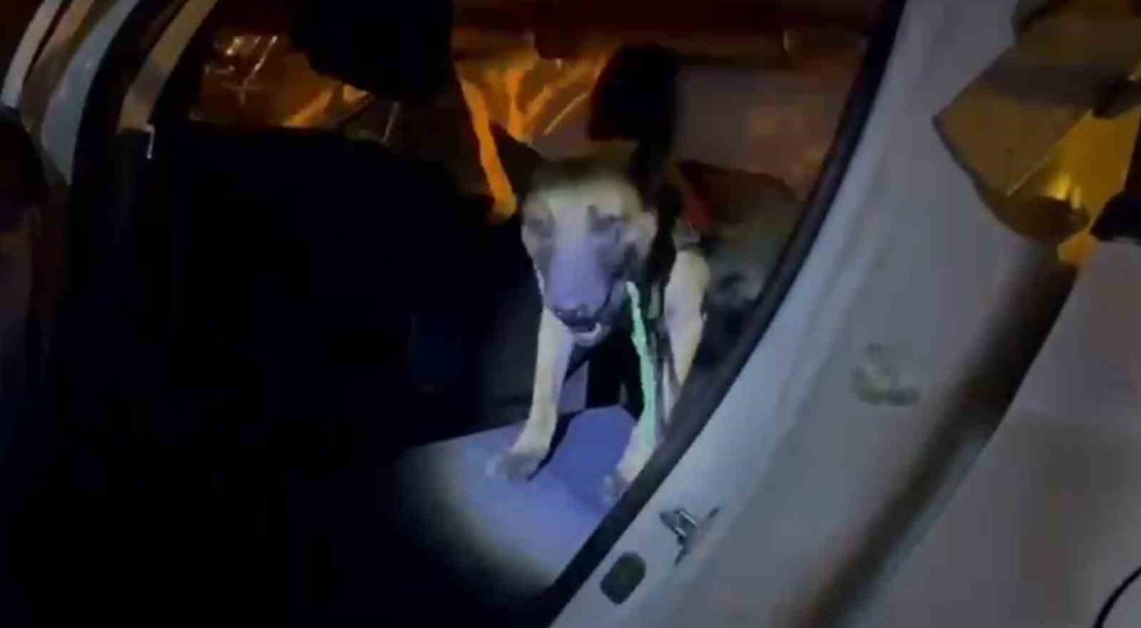 Ağrı&rsquo;da 10 kilogram skunk ele ge&ccedil;irildi, 1 ş&uuml;pheli tutuklandı
