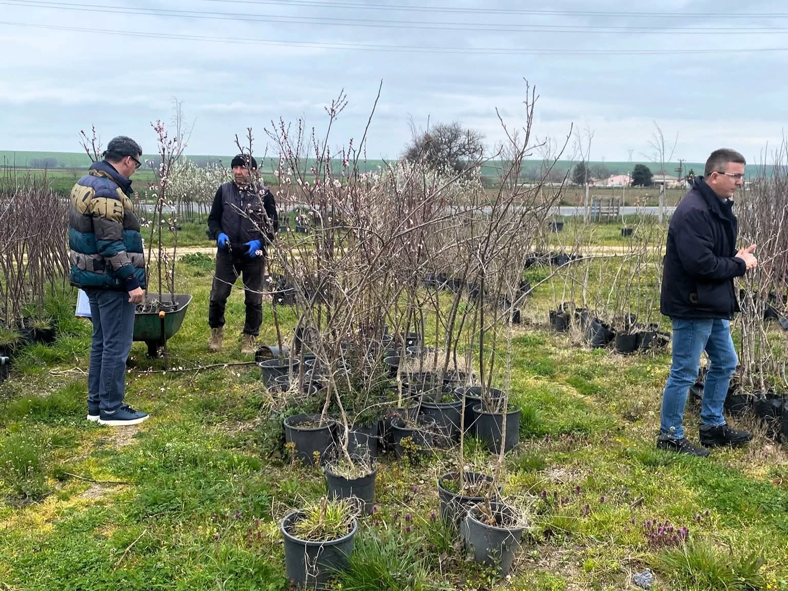 Lüleburgaz’da fidan satış noktalarına denetim