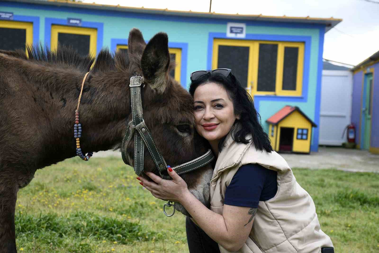 Kuşadası’ndan saplandığı çamurdan kurtarılan eşek koruma altına alındı