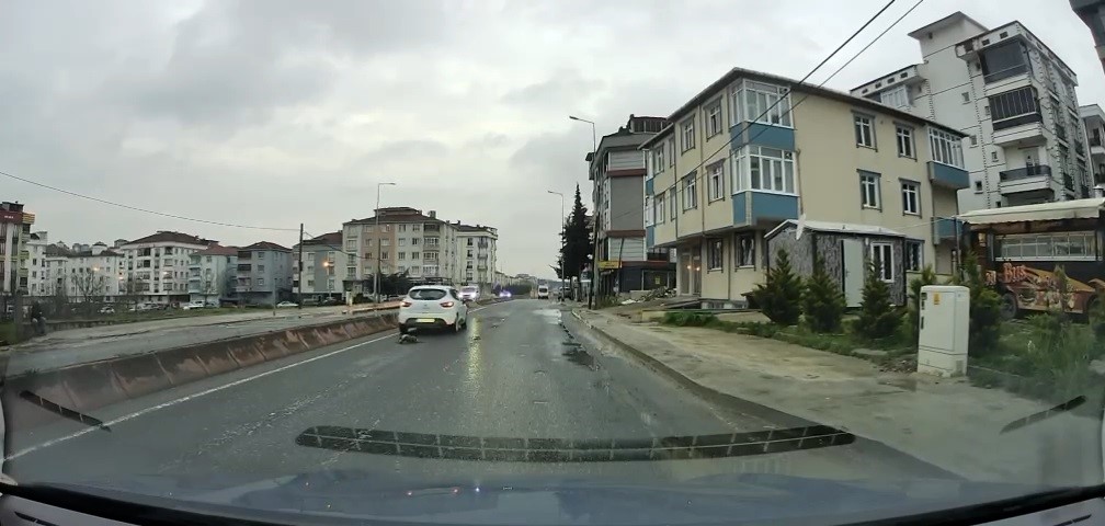 Yoldan ge&ccedil;erken arabanın altında kalan kedi koşarak ka&ccedil;tı: O anlar ara&ccedil; kamerasına saniye saniye yansıdı
