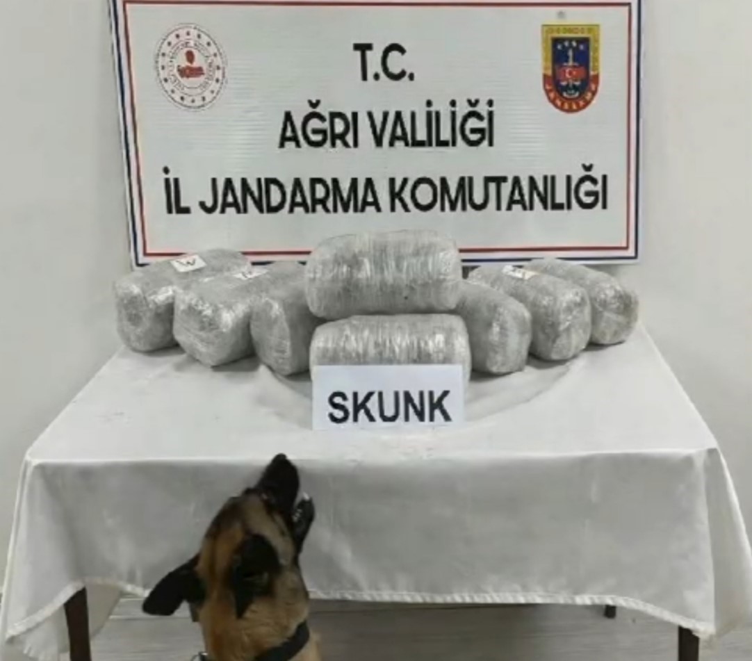 Ağrı’da 10 kilogram skunk ele geçirildi, 1 şüpheli tutuklandı