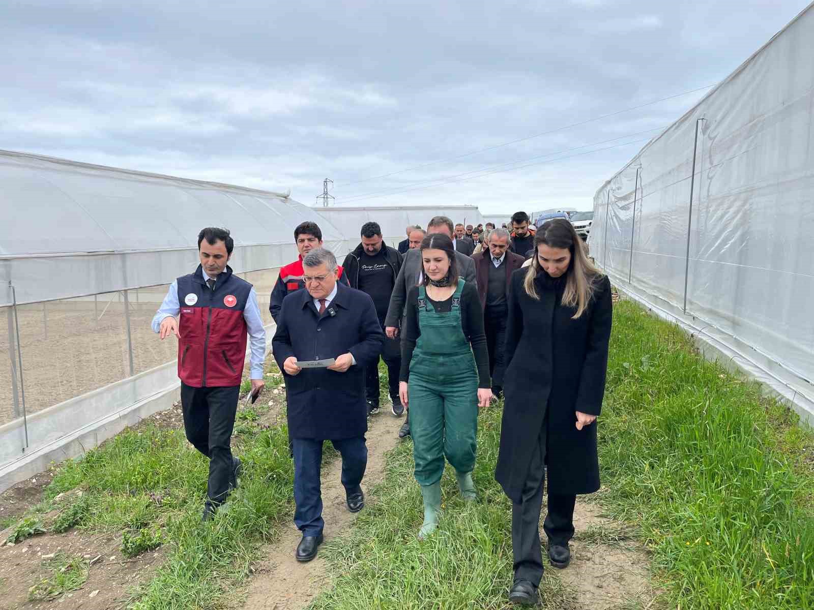 Sinop&rsquo;ta IPARD desteğiyle kurulan serada ilk g&uuml;l fidanları toprakla buluştu
