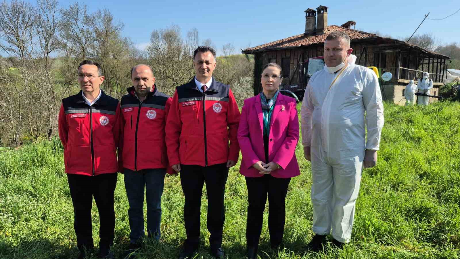 Bartın&rsquo;da kahverengi kokarca kış uykusunda yok edilecek
