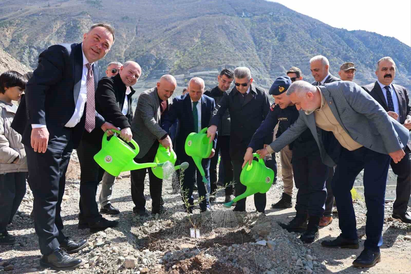 Artvin’de 450 Butko zeytini fidanı toprakla buluşturuldu