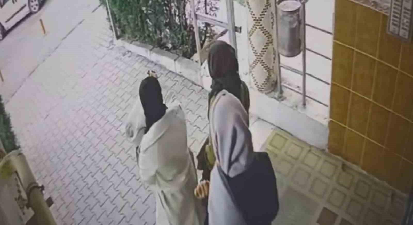 Ev fareleri kameraya yakalandı