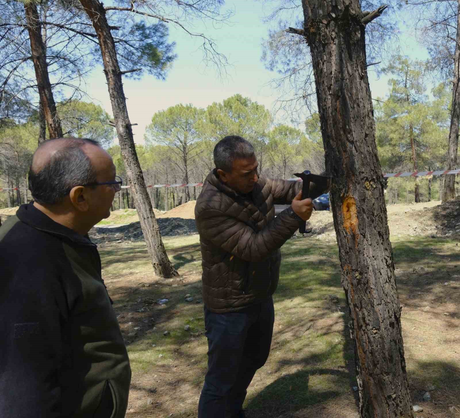 Kahramanmaraş’ta orman zararlılarına karşı mücadele sahada incelendi