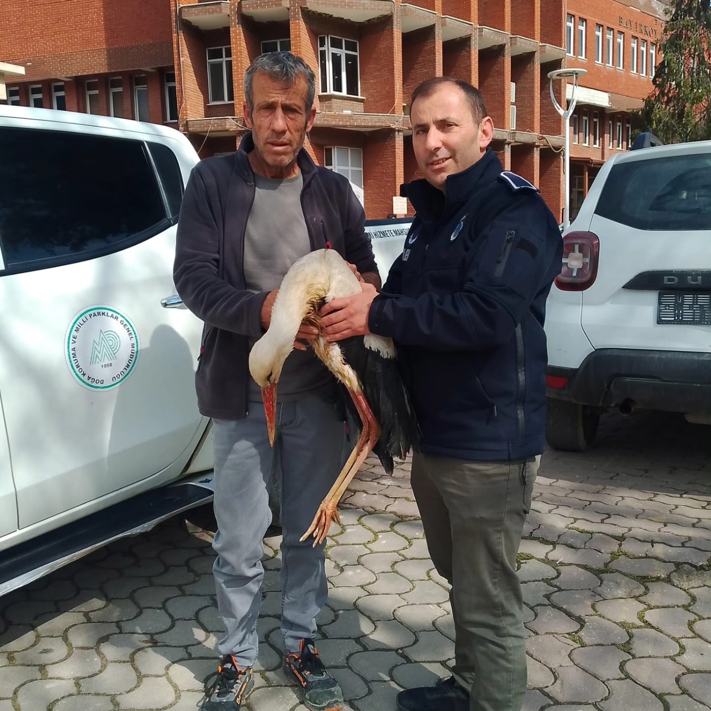 Bilecik&rsquo;te yaralı leylek koruma altına alındı
