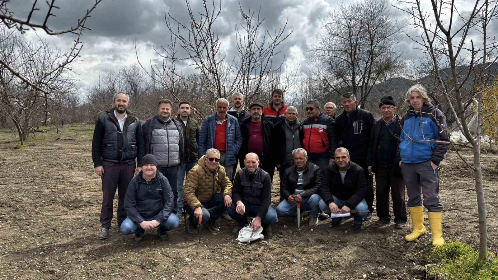 K&uuml;tahya&rsquo;da meyve &uuml;reticilerine budama ve aşılama eğitimi
