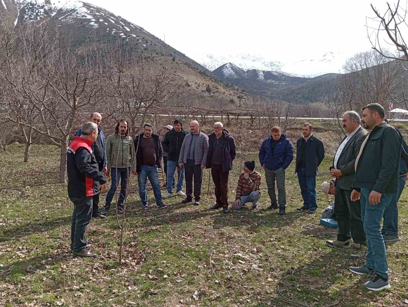 Erzincan&rsquo;da &ccedil;ift&ccedil;ilere budama eğitimi verildi
