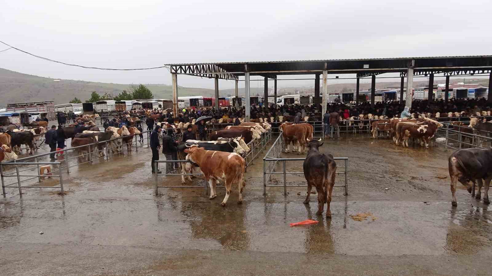 Yağışlı havaya aldırış etmeyen &uuml;reticiler ve alıcılar bu pazarda buluşuyor
