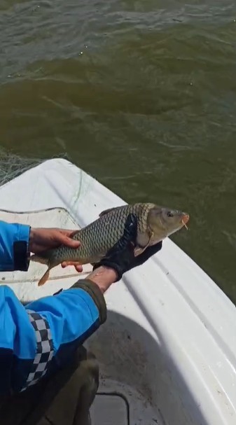 Kovada G&ouml;l&uuml;&rsquo;nde ka&ccedil;ak avcılara ait 600 metrelik ağ ele ge&ccedil;irildi
