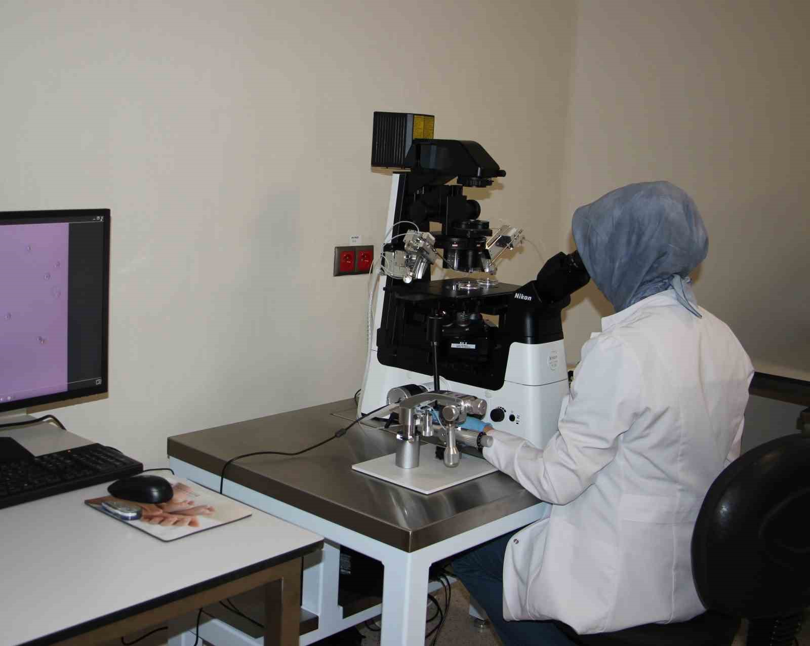 Fethi Sekin Şehir Hastanesi, t&uuml;p bebek merkezi b&ouml;lgeye umut oluyor
