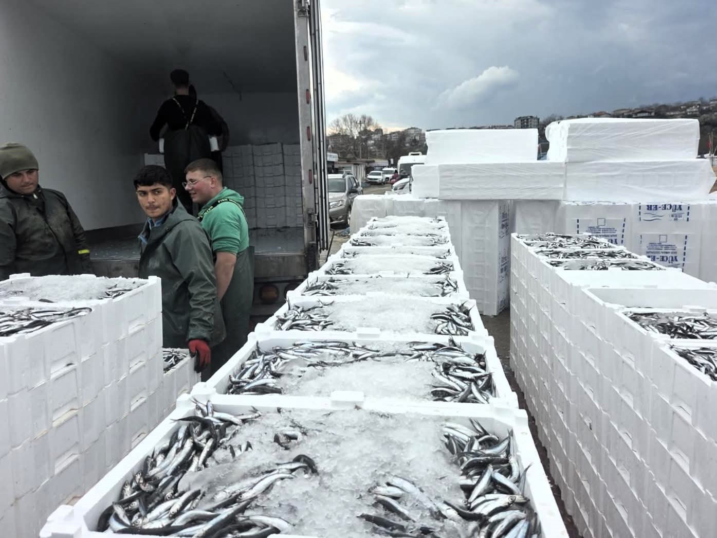 Kırklareli&rsquo;nde hamsi avcılığına sıkı denetim: 15 milyon 270 bin 699 kilogram hamsi karaya &ccedil;ıkarıldı
