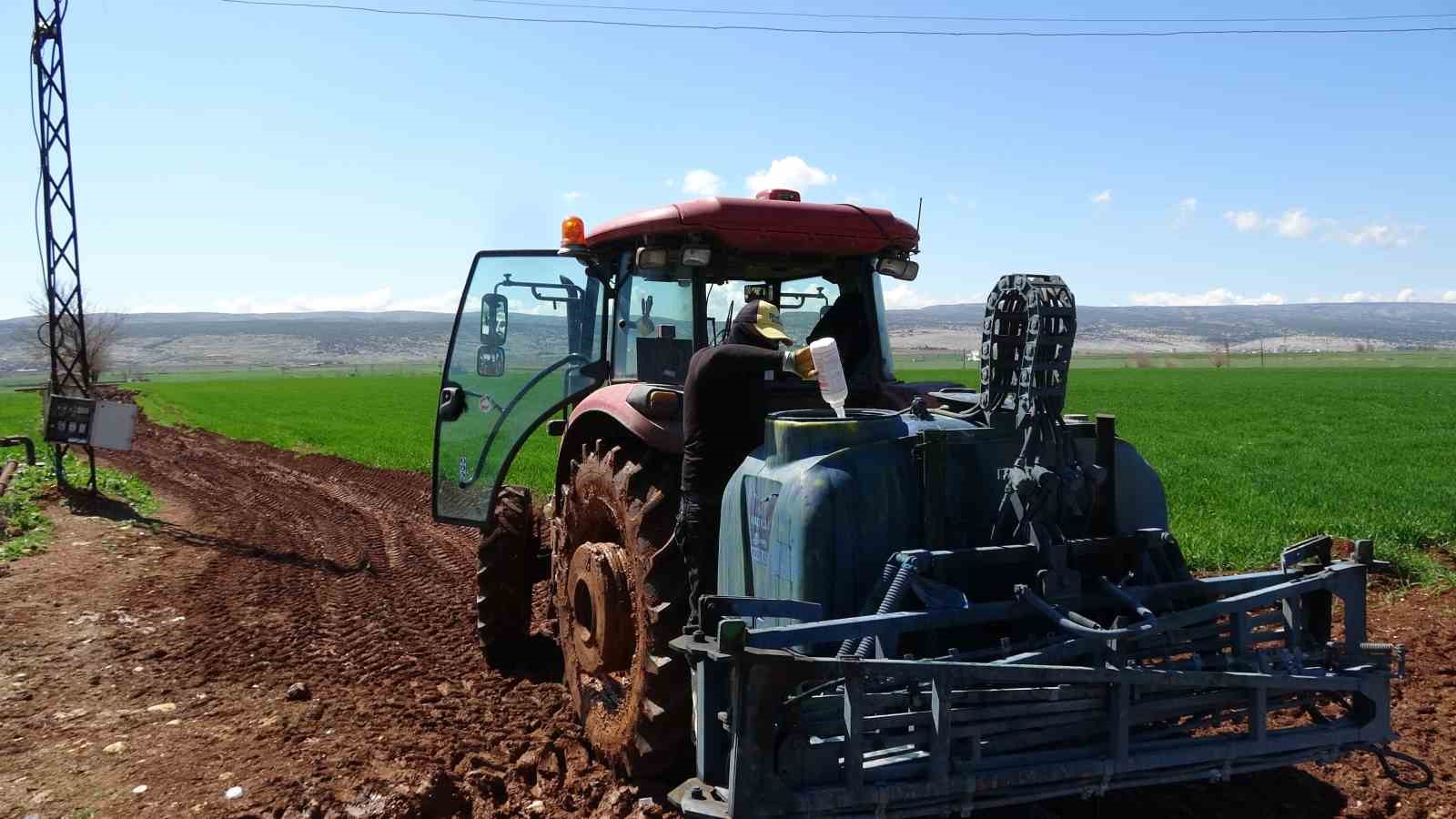 AB tescilli Araban sarımsağında y&uuml;ksek rekolte ve kaliteli &uuml;r&uuml;n bekleyişi
