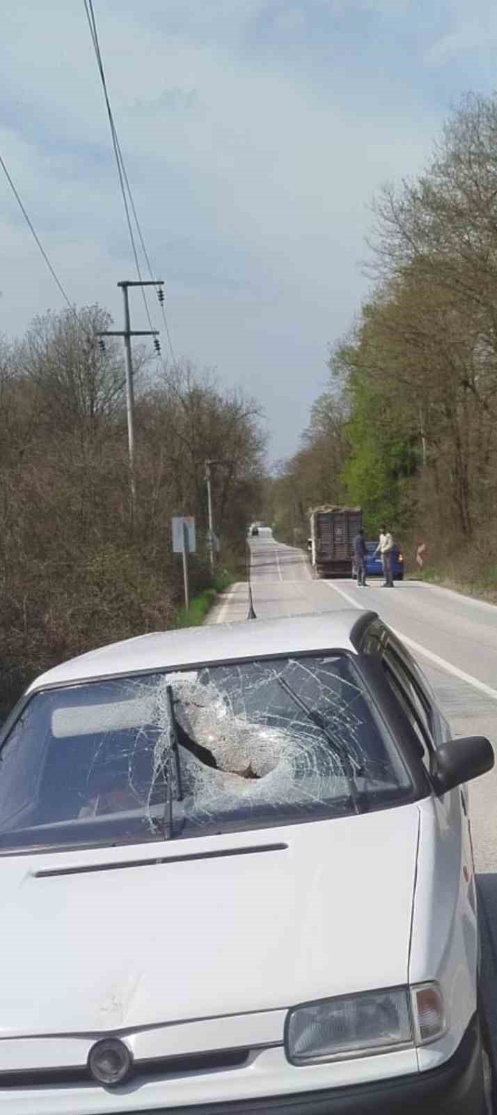 Kamyondan d&uuml;şen tomruk seyir halindeki otomobile saplandı
