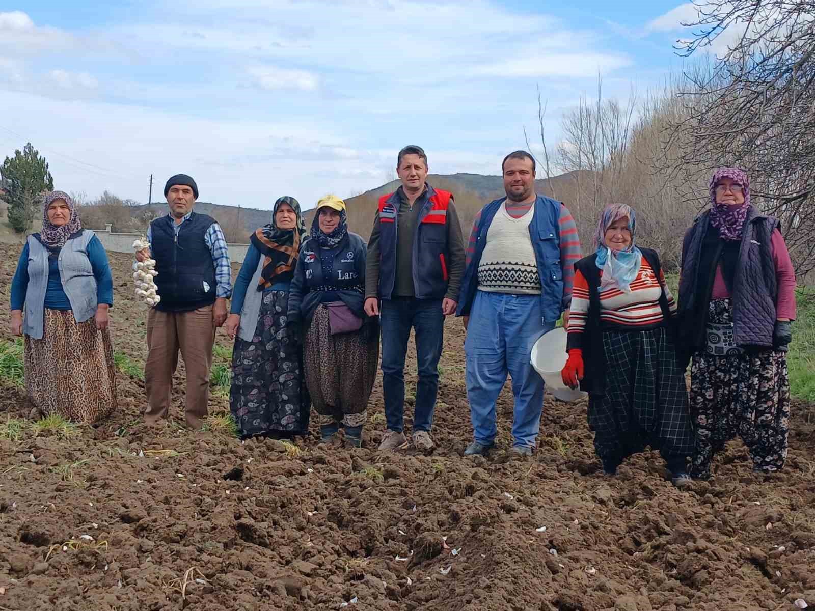 Tavşanlı &rsquo;K&ouml;pr&uuml;cek Sarımsağı&rsquo; artık &ccedil;ift&ccedil;ilere ciddi gelir sağlıyor
