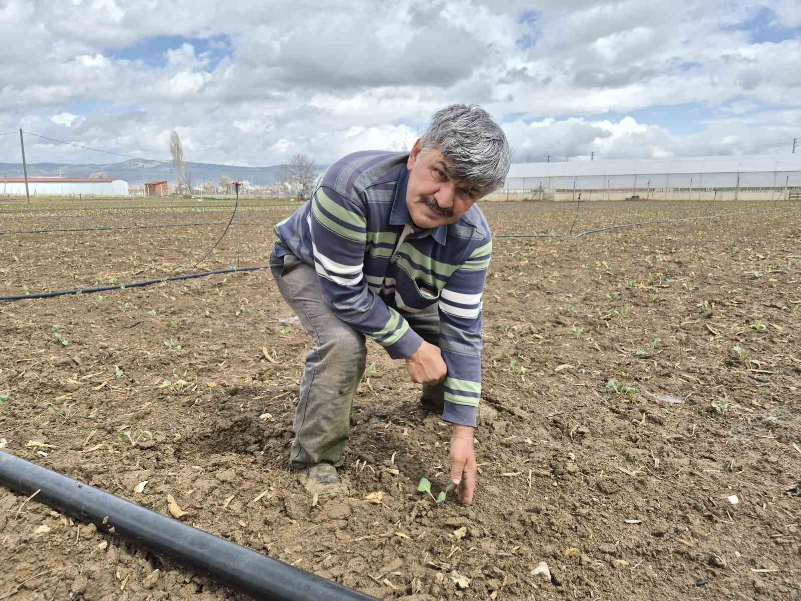 Eskişehir’de yılın ilk tohum ve fideleri toprakla buluştu