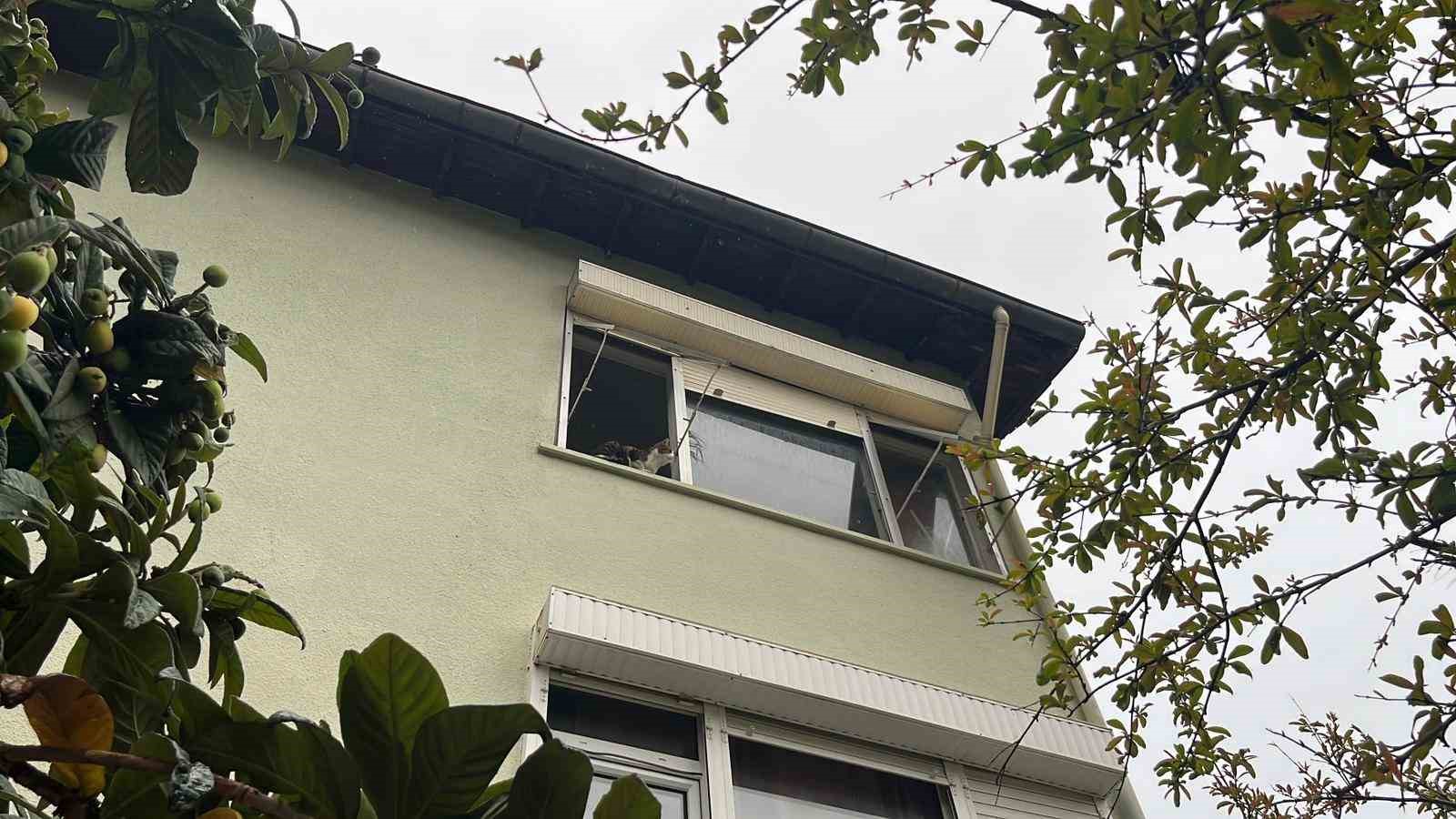 Pencereden bakan ev kedisi itfaiyeyi alarma ge&ccedil;irdi
