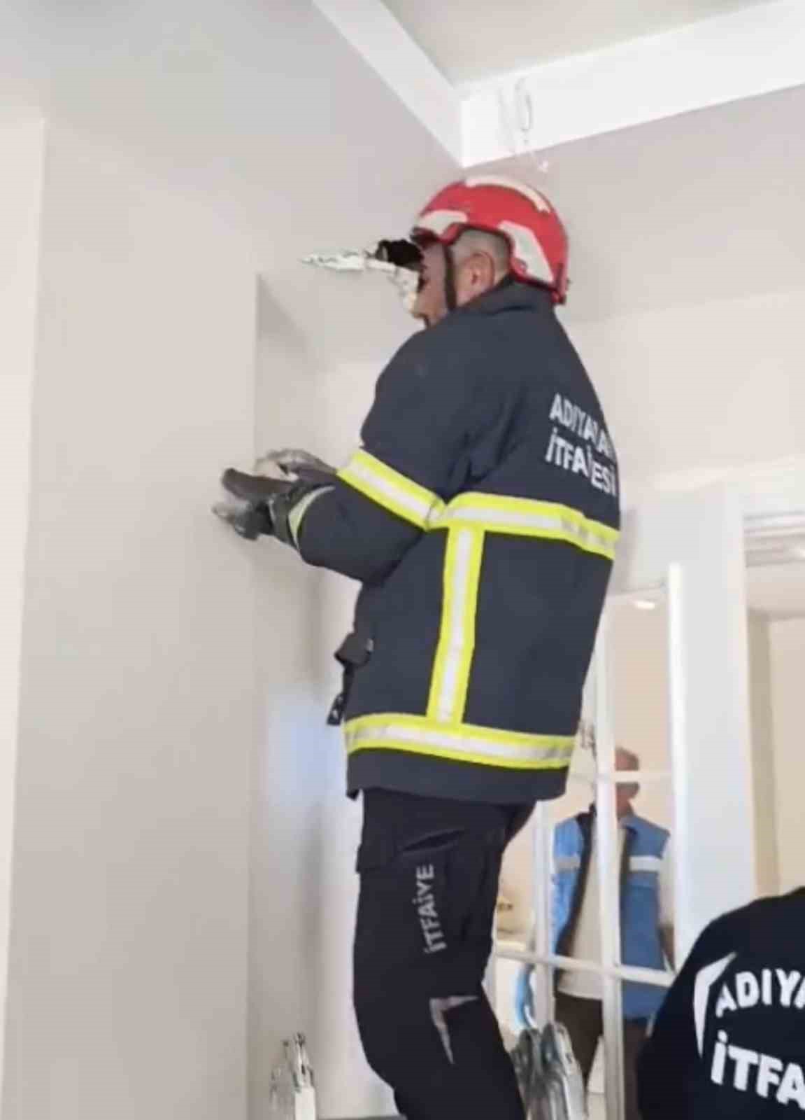 Asma tavanda sıkışan 4 yavru kedi kurtarıldı
