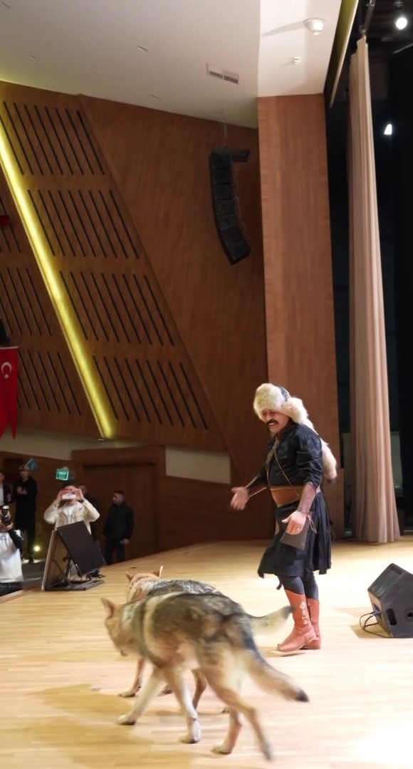 Sivas&rsquo;ta Nevruz kutlamalarında renkli g&ouml;r&uuml;nt&uuml;ler: Sahneye kurtlar &ccedil;ıktı, şahin havada u&ccedil;tu
