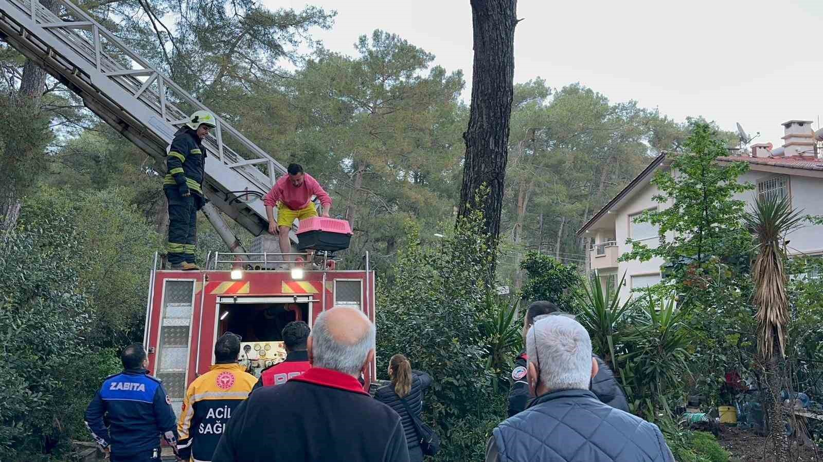 Marmaris&rsquo;te &ccedil;atı katı yangını: Mahsur kalan bir kişi kurtarıldı
