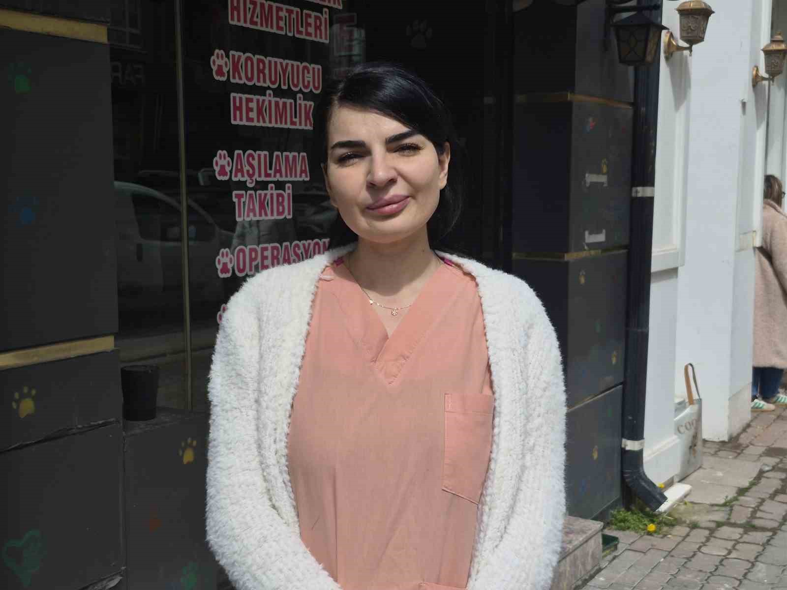 Hamile kedi sığındığı veteriner kliniğinde doğum yaptı
