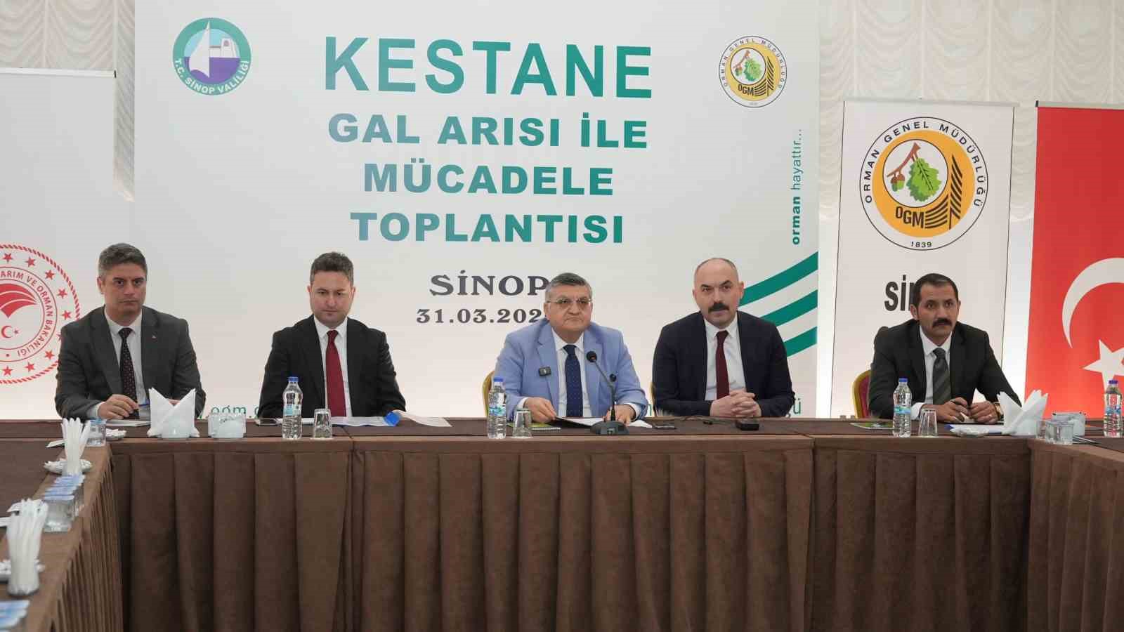 Sinop kestanesi tehlikede: Gal arısı &uuml;retimi ve arıcılığı vuruyor
