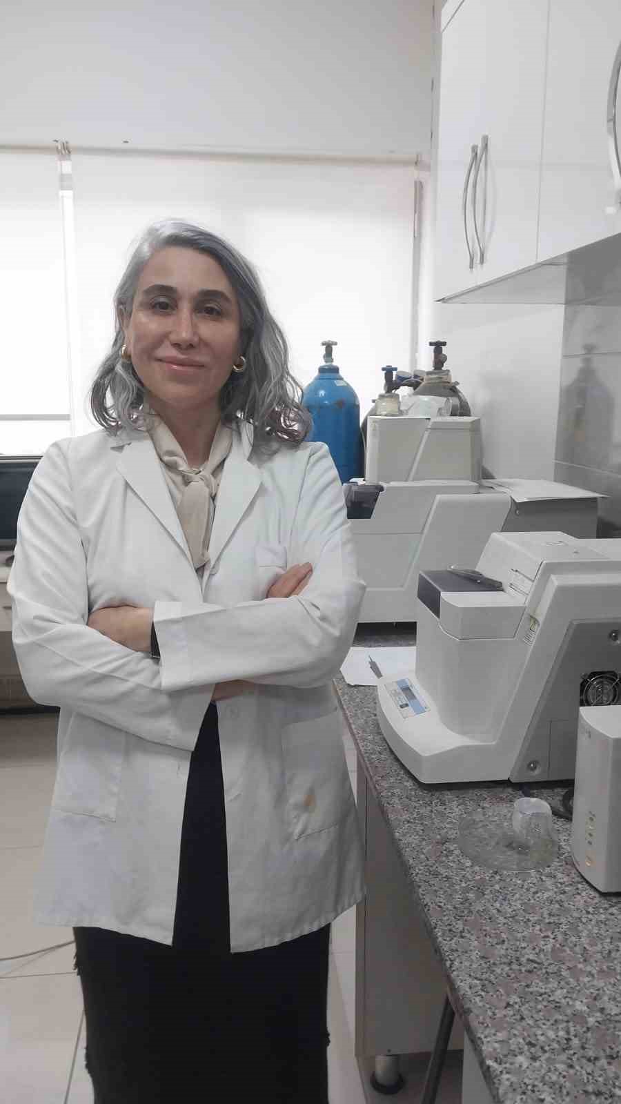 T&uuml;rk profes&ouml;rlerin y&uuml;r&uuml;tt&uuml;ğ&uuml; Sodyum-iyon batarya projesinde laboratuvar &ccedil;alışmaları tamamlandı
