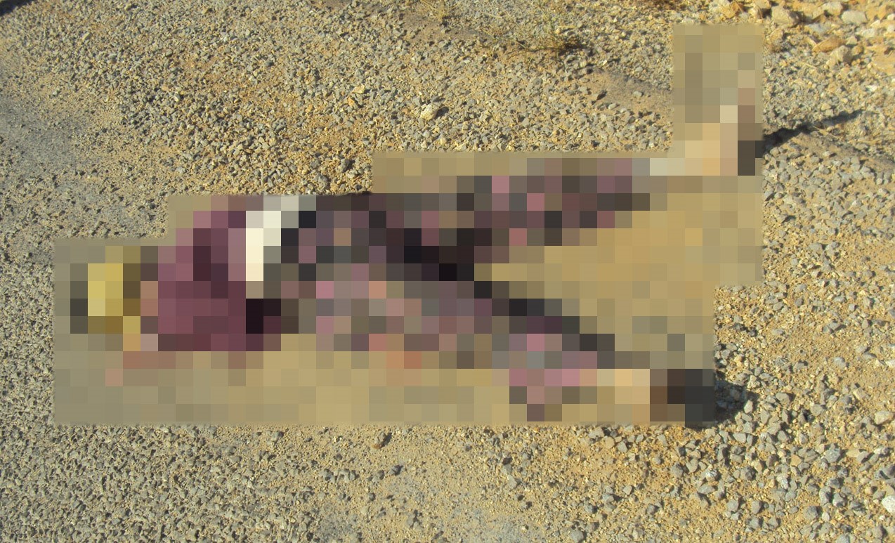 Antalya’da 15 yıllık cinayetin sırrı DNA eşleşmesi ile çözüldü
