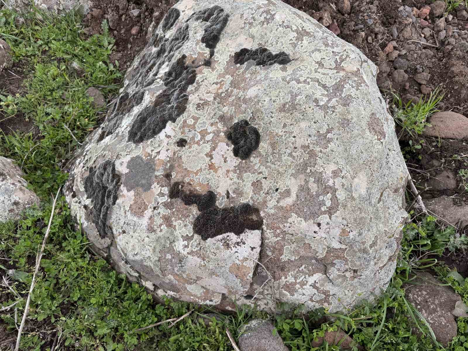 Taşların &uuml;zerindeki yosunları kına gibi kullanıyorlar
