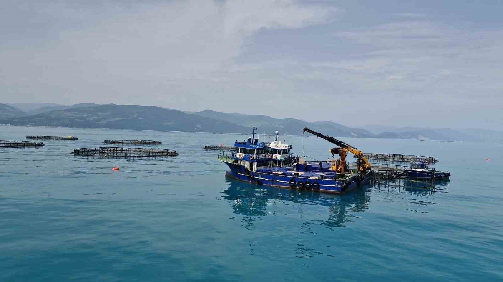 Samsun&rsquo;da tarım, hayvancılık ve kırsal kalkınmaya 3 milyar TL &uuml;zerinde destek
