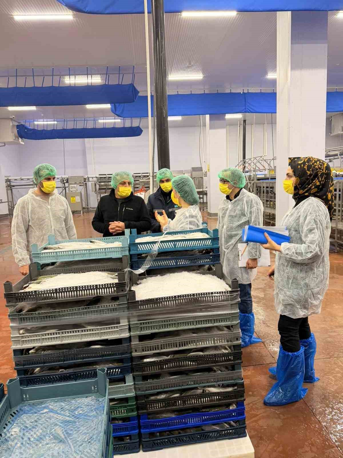 Bing&ouml;l&rsquo;de balık işleme tesisleri denetlendi
